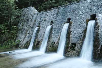 Low angle view of waterfall in forest
