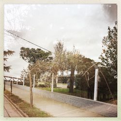 Road by trees against sky