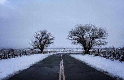 Bare trees on snow covered landscape
