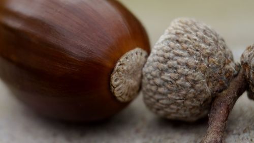 Close-up of bread