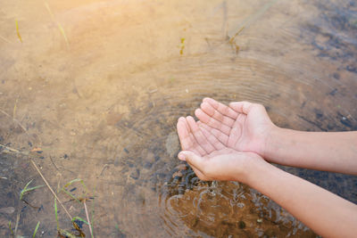 Cropped image of person with hands cupped over pond