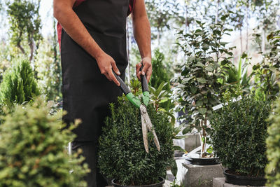 Midsection of man working on potted plant