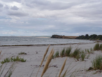 Scenic view of beach against sky