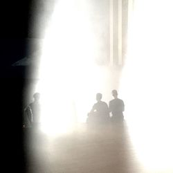 Sun shining through trees