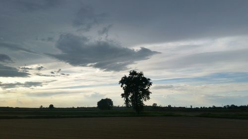 Scenic view of agricultural field against sky during sunset