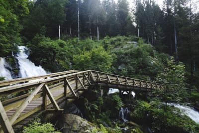 Footbridge over river in forest