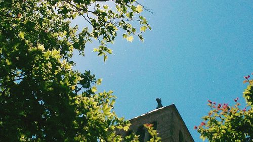 Low angle view of built structure against clear blue sky