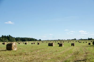 Hay bales on field against sky