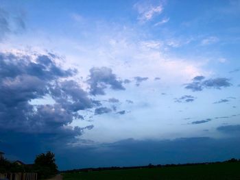 Low angle view of trees on field against sky