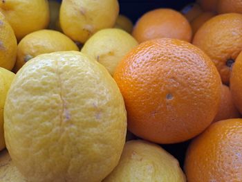 Full frame shot of oranges