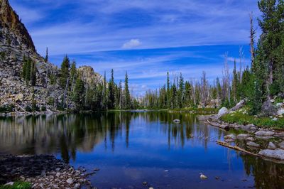 Scenic view of lake by trees against sky