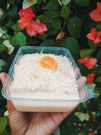 Close-up of hand holding ice cream in bowl