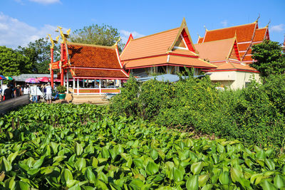 Plants by temple building against sky in thailand 