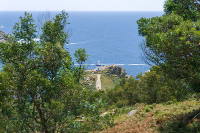 High angle view of trees by sea against sky