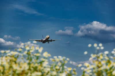 Low angle view of airplane flying against sky