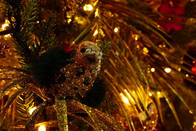 Close-up of illuminated christmas tree at night