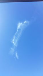 Low angle view of trees against blue sky