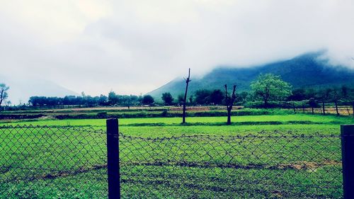 Scenic view of field against sky