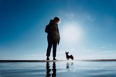 Full length of dog on beach against sky