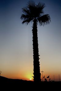 Silhouette palm trees against sky during sunset