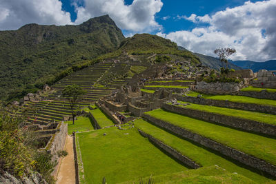 Scenic view of rice field against cloudy sky