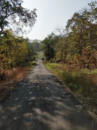 Road amidst trees in forest against sky