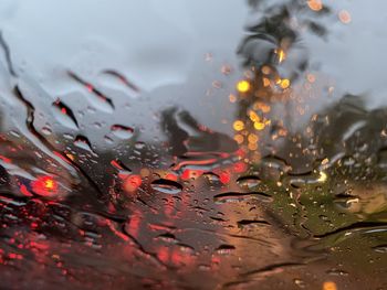 Close-up of raindrops on leaves during rainy season