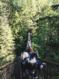 Rear view of people in forest