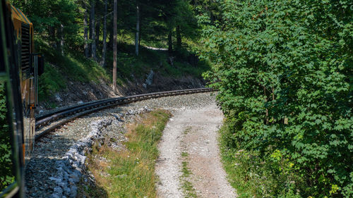 Road amidst trees in forest