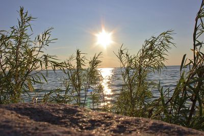 Scenic view of sea against sky during sunset