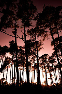 Low angle view of silhouette trees against sky during sunset