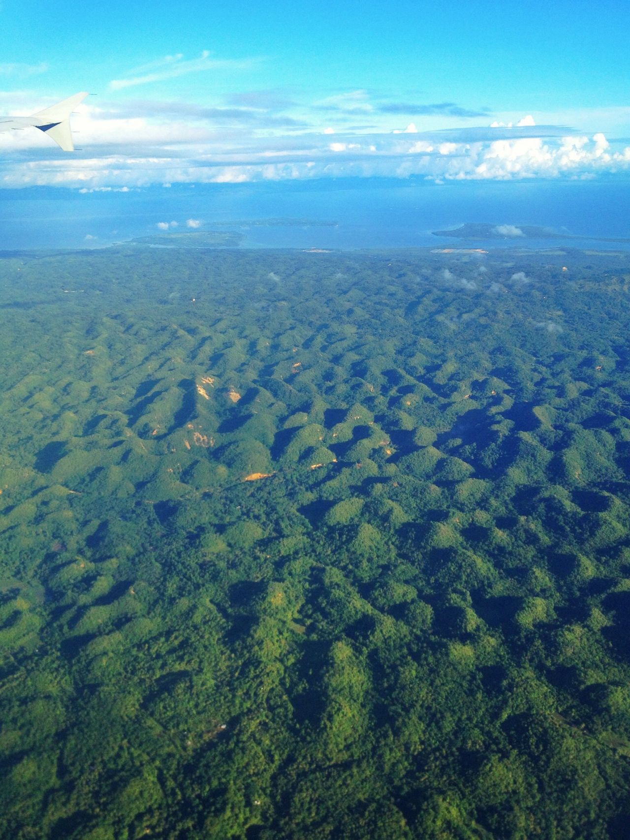 Bohol