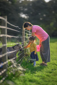 Little girl and her mum are feeding a goat with greens with backlight