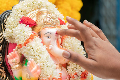 Close-up of hand holding flowers