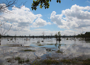 Scenic view of lake against sky