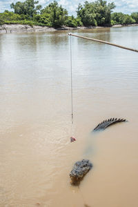 High angle view of fishing rod on river