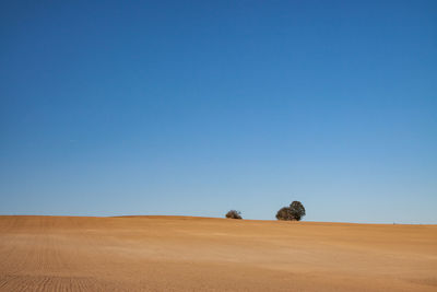 Scenic view of desert against clear blue sky