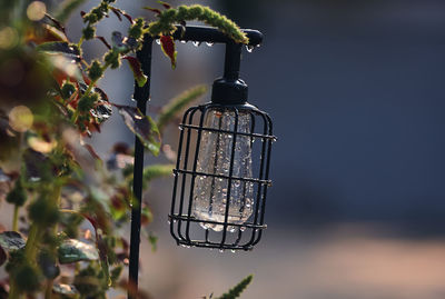 Close-up of a bird feeder