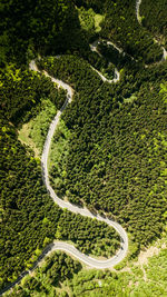 High angle view of winding road amidst trees in forest