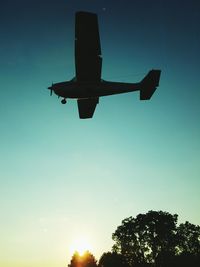 Silhouette of trees at sunset