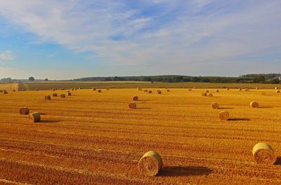 Scenic view of farm against sky 