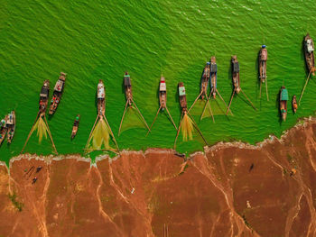 High angle view of plants by lake