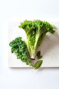 High angle view of vegetables on table