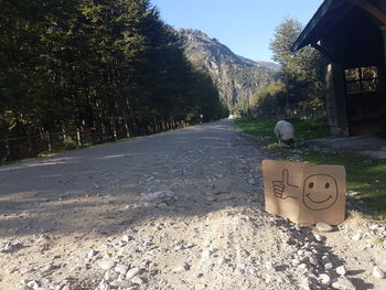 Text on road by tree against mountain