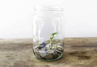 Close-up of coins and seedling in jar on table