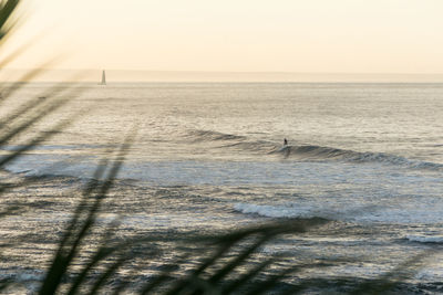 Person surfing on wave in sea against sky during sunset