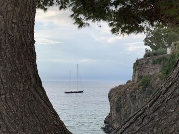 Sailboats sailing on sea against sky