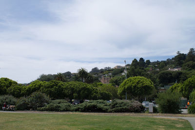 Trees on grassy field against cloudy sky