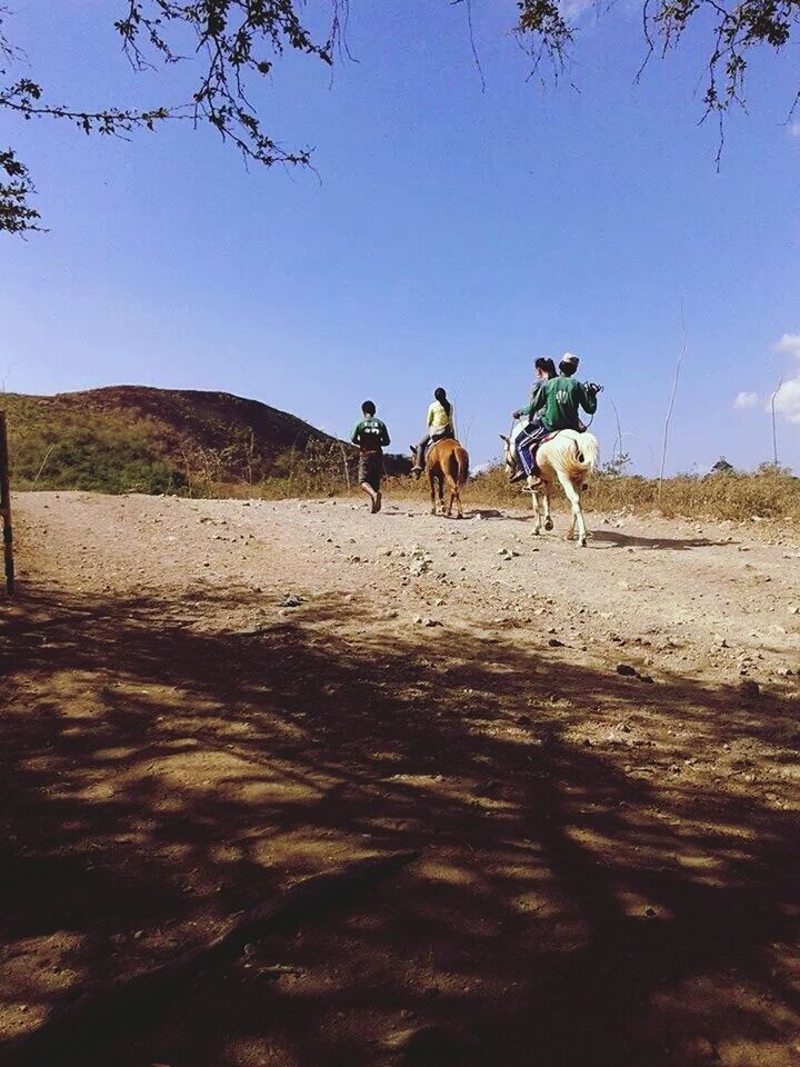 clear sky, animal themes, domestic animals, mammal, landscape, desert, livestock, full length, walking, horse, sunlight, copy space, working animal, camel, sand, nature, men, riding, arid climate