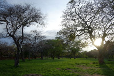 Scenic view of grassy field against sky